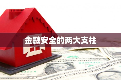 毕节金融安全的两大支柱
