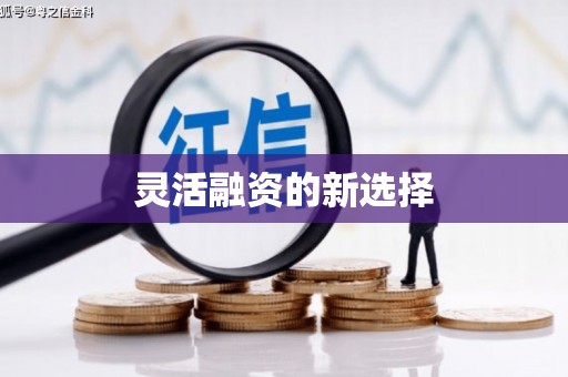 毕节灵活融资的新选择
