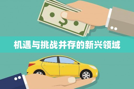 毕节机遇与挑战并存的新兴领域