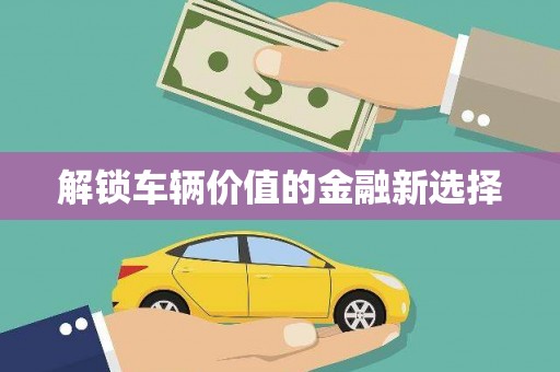 毕节解锁车辆价值的金融新选择