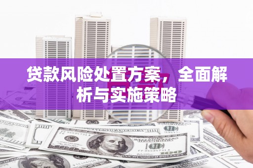 毕节贷款风险处置方案，全面解析与实施策略