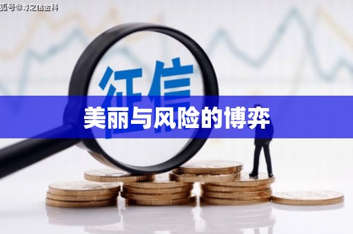 毕节美丽与风险的博弈