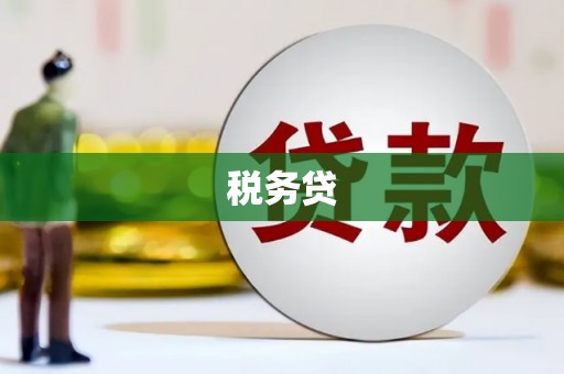 毕节税务贷