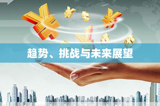 毕节趋势、挑战与未来展望