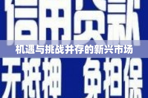 毕节机遇与挑战并存的新兴市场