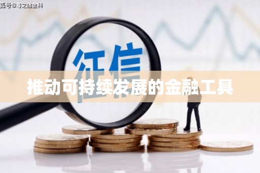 毕节推动可持续发展的金融工具
