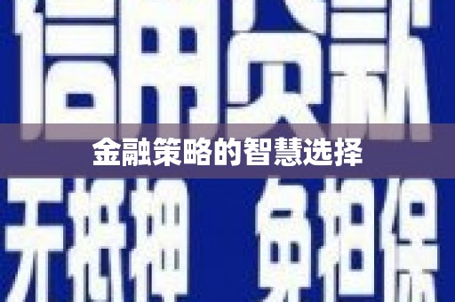 毕节金融策略的智慧选择