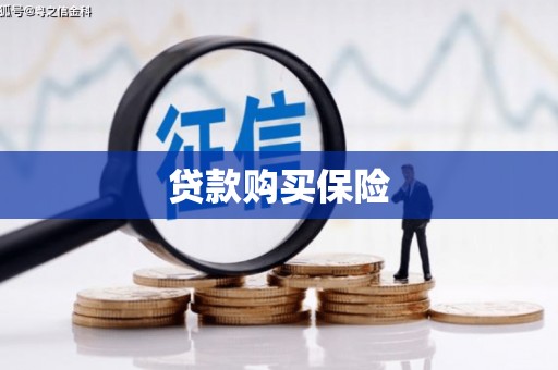 毕节贷款购买保险