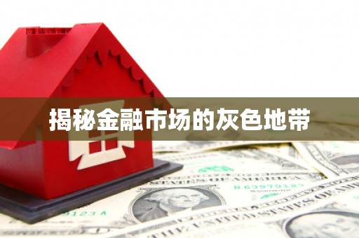 毕节揭秘金融市场的灰色地带