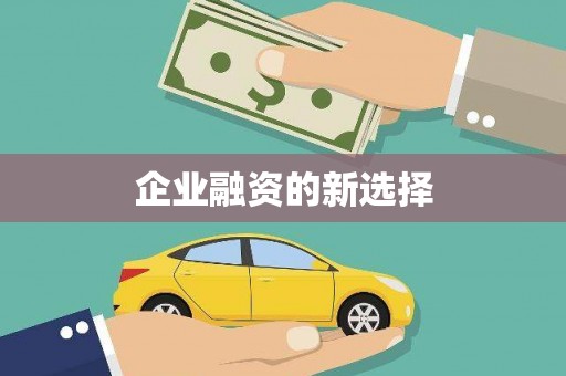 毕节企业融资的新选择