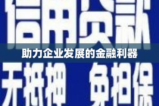 毕节助力企业发展的金融利器