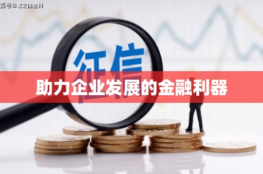 毕节助力企业发展的金融利器