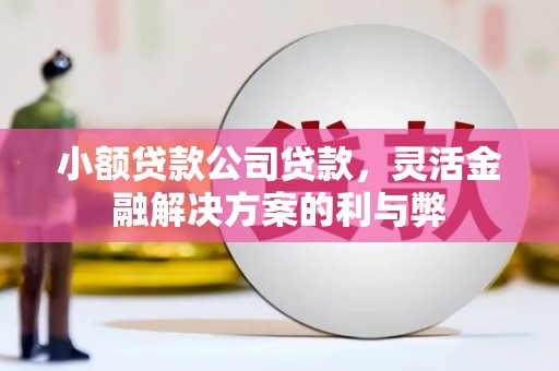 毕节小额贷款公司贷款，灵活金融解决方案的利与弊