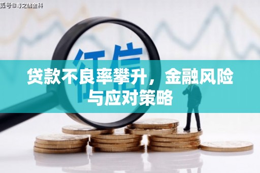 毕节贷款不良率攀升，金融风险与应对策略