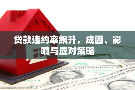 毕节贷款违约率飙升，成因、影响与应对策略